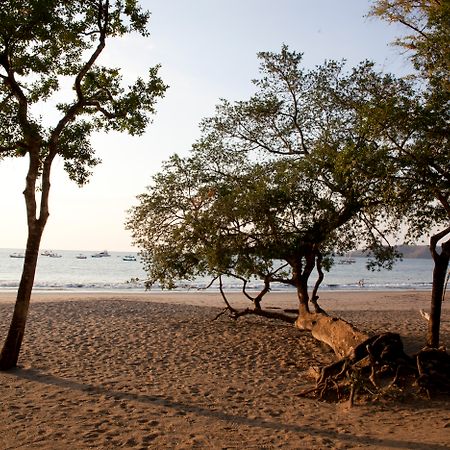Hotel Bosque Del Mar Playa Hermosa Playa Hermosa  Ngoại thất bức ảnh