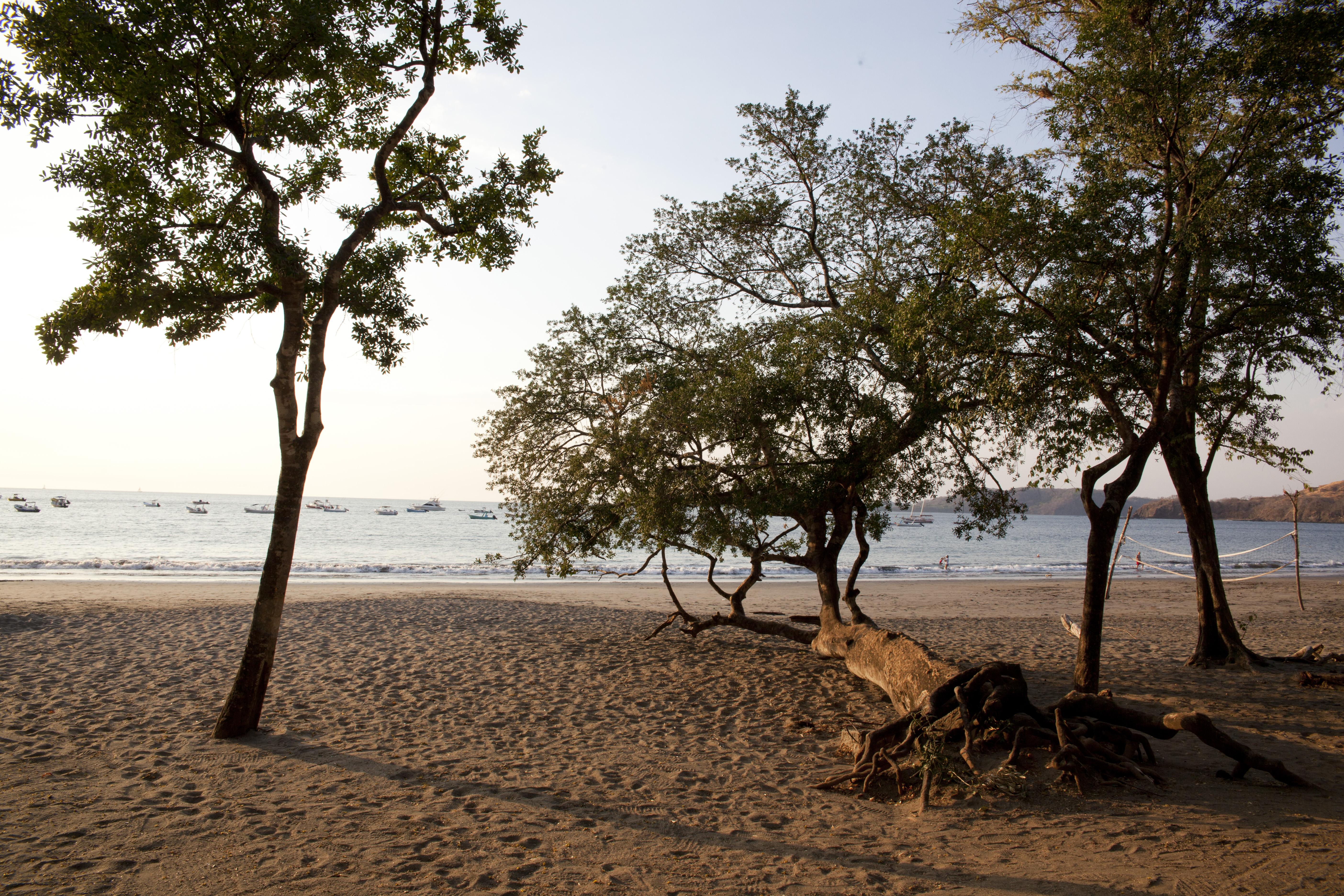 Hotel Bosque Del Mar Playa Hermosa Playa Hermosa  Ngoại thất bức ảnh